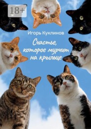 Счастье, которое мурчит на крыльце