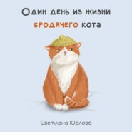 Один день из жизни бродячего кота