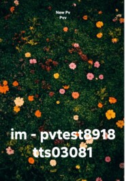 im - pvtest8918 tts03081