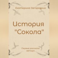 История "Сокола"