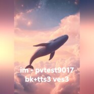 im – pvtest9017 bk+tts3 ves3