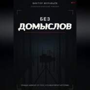 Без домыслов