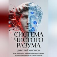 Система чистого разума. Как победить ментальное выгорание и настроить мозг на сверхзадачи