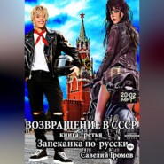 Возвращение в СССР. Книга третья. Запеканка по-русски