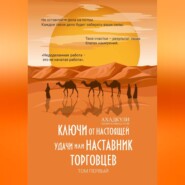 Ключи от настоящей удачи, или Наставник торговцев. Том первый
