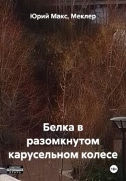 Белка в разомкнутом карусельном колесе