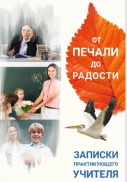 Елена Костырева   От печали до радости. Записки практикующего учителя