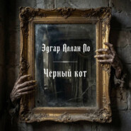 Черный кот