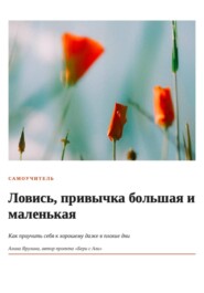 Самоучитель «Ловись привычка большая и маленькая»