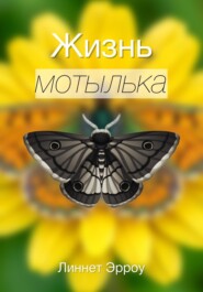 Жизнь мотылька