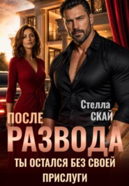 После развода. Ты остался без своей прислуги
