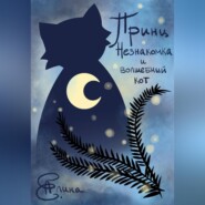 Принц, Незнакомка и волшебный кот