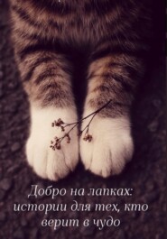 Добро на лапках: истории для тех, кто верит в чудо