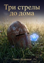 Три стрелы до дома