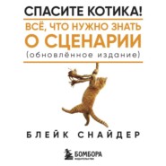 Спасите котика! Все, что нужно знать о сценарии (обновленное издание)
