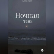 Ночная тень
