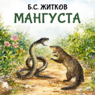 Мангуста