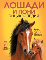 Самая лучшая иллюстрированная энциклопедия. Лошади и пони