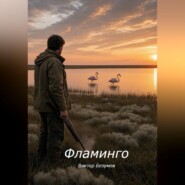 Фламинго