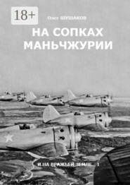 На сопках Маньчжурии. И на вражьей земле — 1
