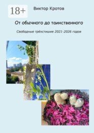 От обычного до таинственного. Свободные трёхстишия 2021—2026 годов