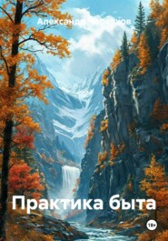 Практика быта