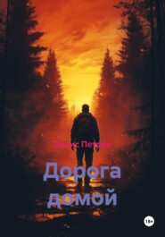 Дорога домой
