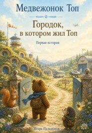 Медвежонок Топ. Городок, в котором жил Топ