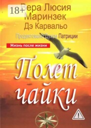 Полет чайки