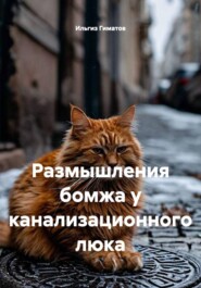 Размышления бомжа у канализационного люка