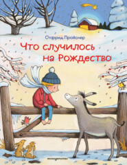 Что случилось на Рождество