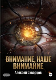 Внимание, наше внимание