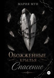 Обожженные крылья. Спасение