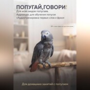 Аудиокурс для обучения попугая