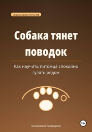Собака тянет поводок — как научить питомца спокойно гулять рядом