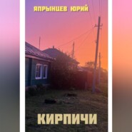 Кирпичи