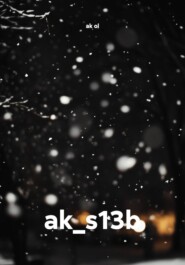 ak_s13b
