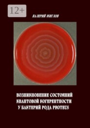 Возникновение состояний квантовой когерентности у бактерий рода Proteus