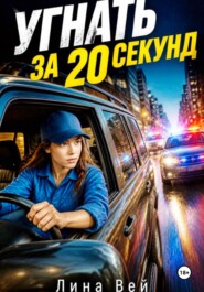 Угнать за 20 секунд