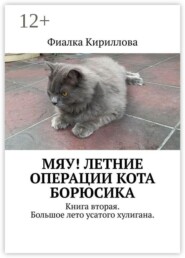 Мяу! Летние операции кота Борюсика. Книга вторая. Большое лето усатого хулигана.