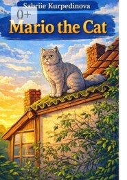 Mario the Cat