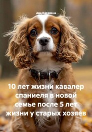 10 лет жизни кавалер спаниеля в новой семье после 5 лет жизни у старых хозяев