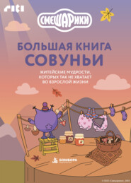Большая книга Совуньи. Житейские мудрости, которых так не хватает во взрослой жизни