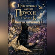 Приключения кошки Прусси в городе К.