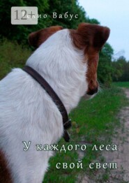 У каждого леса свой свет
