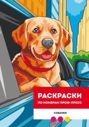 Раскраска по номерам премиум. Собачки
