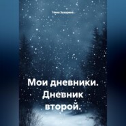 Мои дневники. Дневник второй.
