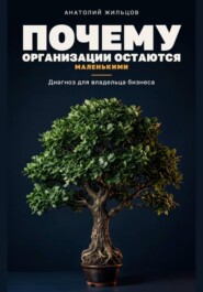 Почему организации остаются маленькими