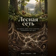 Лесная сеть: Как деревья, грибы, почва и животные поддерживают друг друга