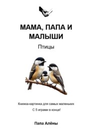 Мама, папа и малыши. Птицы